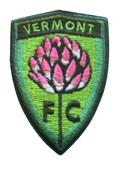 Mini Patch